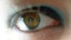 <img100*0:stuff/z/169023/izzbiz/i1265755179_9.jpg>