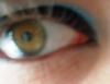 <img100*0:stuff/z/169023/izzbiz/i1265755180_24.jpg>