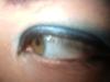 <img100*0:stuff/z/169023/izzbiz/i1265755180_25.jpg>