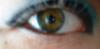 <img100*0:stuff/z/169023/izzbiz/i1265755181_33.jpg>
