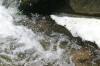 <img100*0:stuff/z/169023/mfalss/i1280430963_25.jpg>
