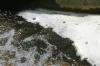 <img100*0:stuff/z/169023/mfalss/i1280430964_36.jpg>