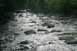 <img300*0:stuff/z/169023/more%2520falls/i1248893416_6.jpg>