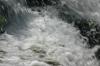 <img100*0:stuff/z/169023/morefalls/i1280424724_2.jpg>