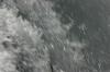 <img100*0:stuff/z/169023/morefalls/i1280424724_3.jpg>