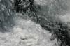 <img100*0:stuff/z/169023/morefalls/i1280424725_14.jpg>