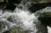 <img100*0:stuff/z/169023/morefallss/i1280432039_2.jpg>