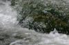 <img100*0:stuff/z/169023/morefallss/i1280432040_11.jpg>