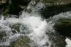 <img100*0:stuff/z/169023/morefallss/i1280432040_8.jpg>