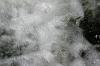 <img100*0:stuff/z/169023/morefallss/i1280432041_23.jpg>