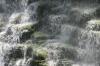 <img100*0:stuff/z/169023/moreflaaals/i1280425605_4.jpg>