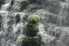 <img100*0:stuff/z/169023/moreflaaals/i1280425606_17.jpg>