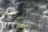 <img100*0:stuff/z/169023/moreflaaals/i1280425606_19.jpg>