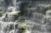 <img100*0:stuff/z/169023/moreflaaals/i1280425607_29.jpg>