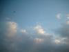 <img100*0:stuff/z/169023/mysky/i1259708561_2.jpg>