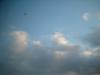<img100*0:stuff/z/169023/mysky/i1259708561_3.jpg>