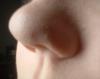 <img100*0:stuff/z/169023/nosee/i1265757980_17.jpg>
