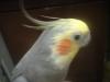 <img100*0:stuff/z/169023/oscar%2520stock/i1259527546_1.jpg>