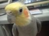 <img100*0:stuff/z/169023/oscar%2520stock/i1259527546_2.jpg>