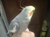 <img100*0:stuff/z/169023/oscar%2520stock/i1259527546_3.jpg>