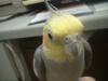 <img100*0:stuff/z/169023/oscar%2520stock/i1259527546_4.jpg>