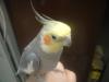 <img100*0:stuff/z/169023/oscar%2520stock/i1259527546_5.jpg>