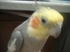 <img100*0:stuff/z/169023/oscar%2520stock/i1259527546_6.jpg>
