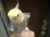 <img100*0:stuff/z/169023/oscar%2520stock/i1259527547_10.jpg>
