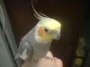 <img100*0:stuff/z/169023/oscar%2520stock/i1259527547_11.jpg>