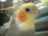 <img100*0:stuff/z/169023/oscar%2520stock/i1259527547_7.jpg>