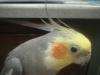 <img100*0:stuff/z/169023/oscar%2520stock/i1259527547_8.jpg>