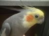 <img100*0:stuff/z/169023/oscar%2520stock/i1259527547_9.jpg>
