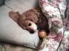 <img100*0:stuff/z/169023/puppies%2521%2521%2521/i1245105739_11.jpg>