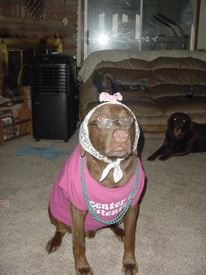 <img300*0:stuff/z/169023/puppies%2521%2521%2521/i1245105739_6.jpg>