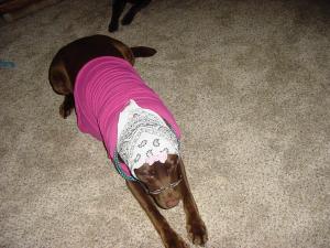 <img300*0:stuff/z/169023/puppies%2521%2521%2521/i1245105741_29.jpg>