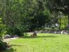 <img100*0:stuff/z/169023/puppies%2521%2521%2521/i1245105741_40.jpg>