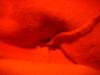 <img100*0:stuff/z/169023/red%252017/i1263582460_1.jpg>