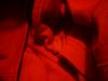 <img100*0:stuff/z/169023/red%252017/i1263582461_17.jpg>