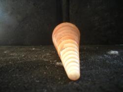 <img250*0:stuff/z/169023/seashells%25203/i1255992729_3.jpg>