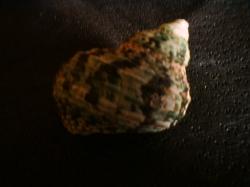 <img250*0:stuff/z/169023/shellsss/i1256083494_33.jpg>