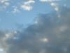 <img100*0:stuff/z/169023/skylight/i1259709252_12.jpg>