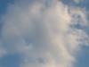 <img100*0:stuff/z/169023/skylight/i1259709252_15.jpg>