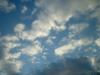 <img100*0:stuff/z/169023/skylight/i1259709252_16.jpg>