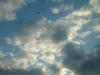 <img100*0:stuff/z/169023/skylight/i1259709252_2.jpg>