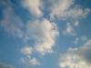<img100*0:stuff/z/169023/skylight/i1259709252_28.jpg>