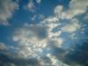 <img100*0:stuff/z/169023/skylight/i1259709252_4.jpg>