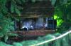 <img100*0:stuff/z/169023/squirrel./i1279904402_10.jpg>