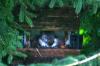 <img100*0:stuff/z/169023/squirrel./i1279904402_2.jpg>