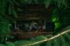 <img100*0:stuff/z/169023/squirrel./i1279904402_5.jpg>
