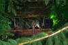 <img100*0:stuff/z/169023/squirrel./i1279904402_6.jpg>